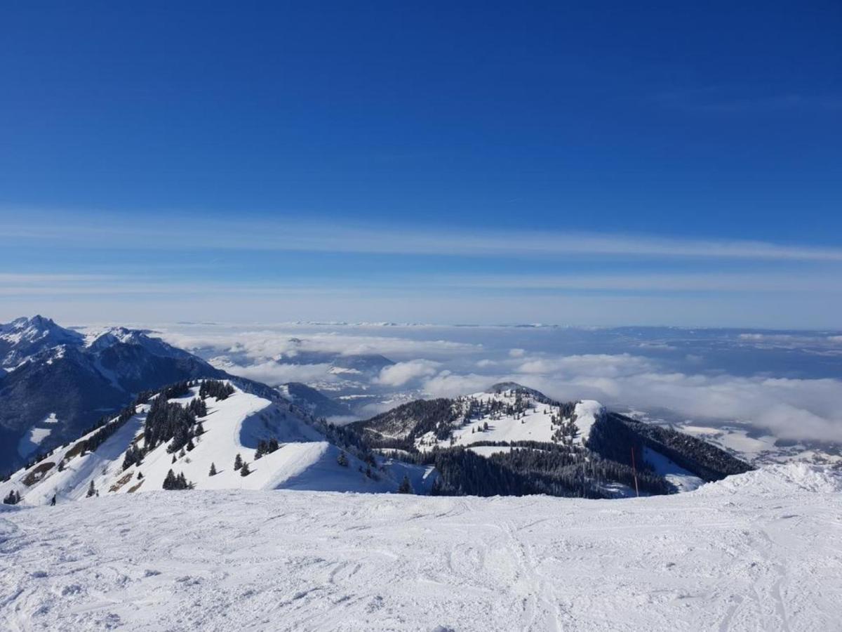 Le 67,Ski Et Randonnee,Lave Linge,Seche Linge,Parking Bernex Exteriör bild