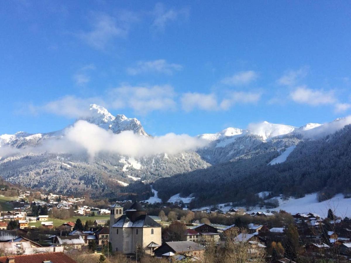 Le 67,Ski Et Randonnee,Lave Linge,Seche Linge,Parking Bernex Exteriör bild