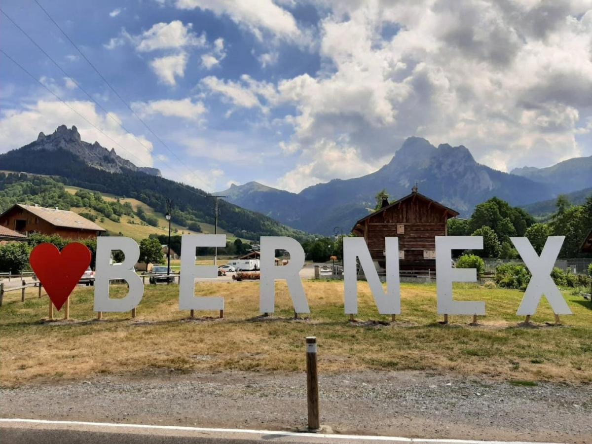 Le 67,Ski Et Randonnee,Lave Linge,Seche Linge,Parking Bernex Exteriör bild
