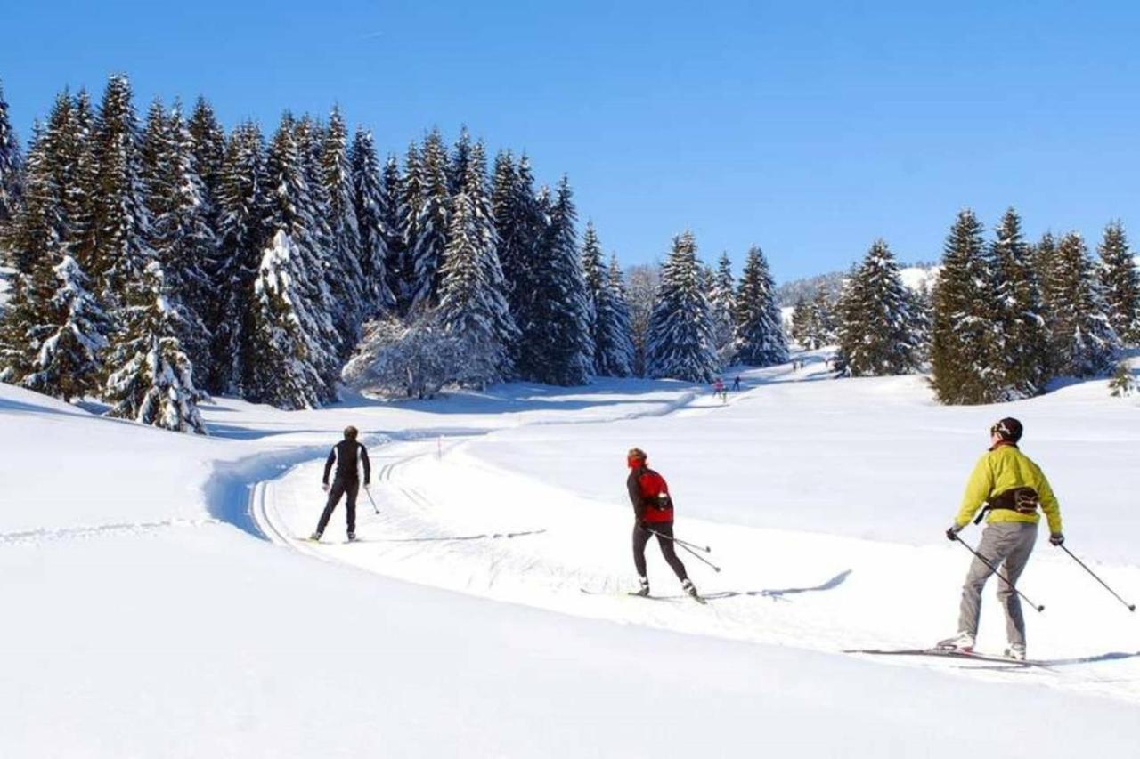 Le 67,Ski Et Randonnee,Lave Linge,Seche Linge,Parking Bernex Exteriör bild