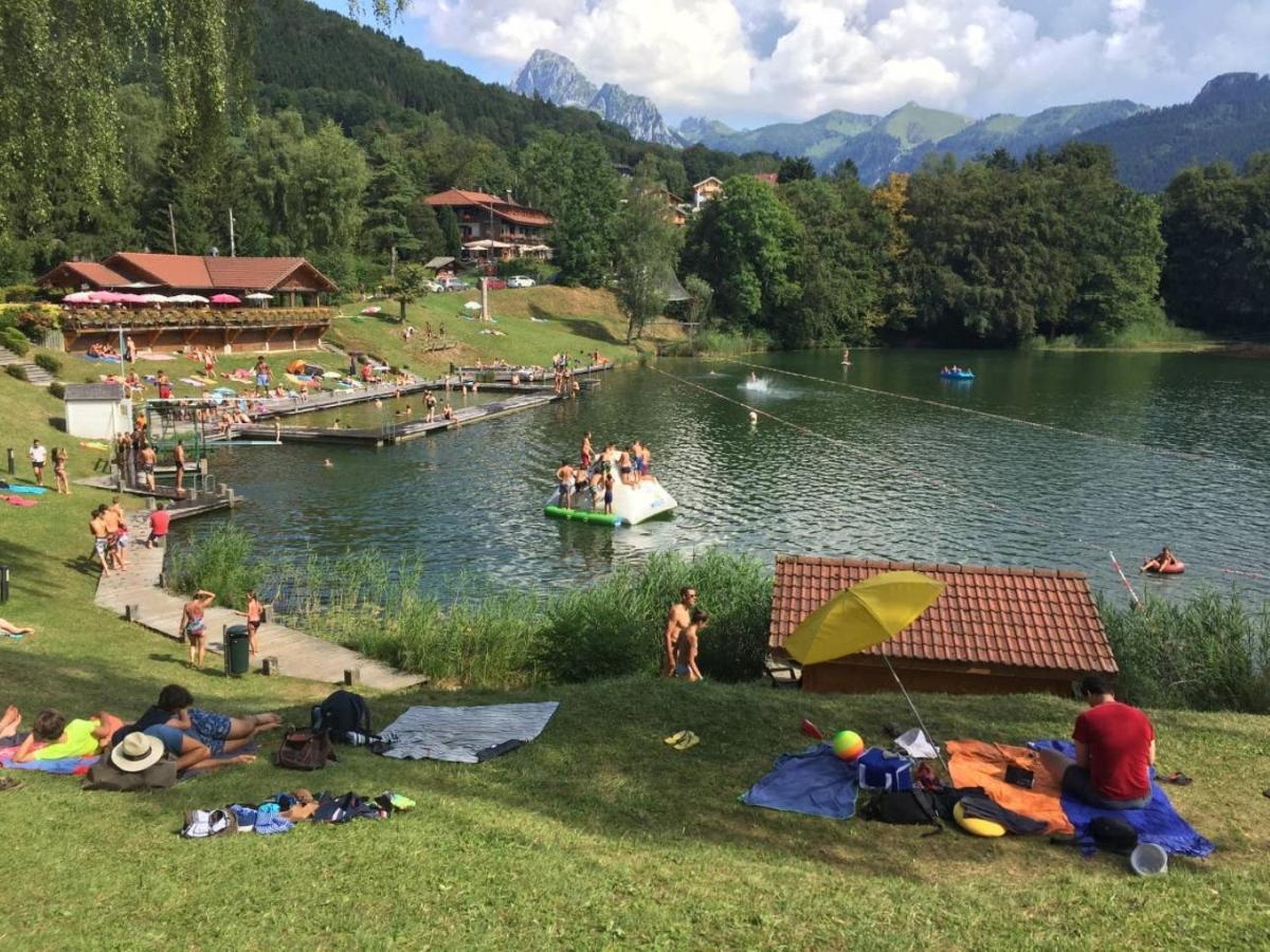 Le 67,Ski Et Randonnee,Lave Linge,Seche Linge,Parking Bernex Exteriör bild