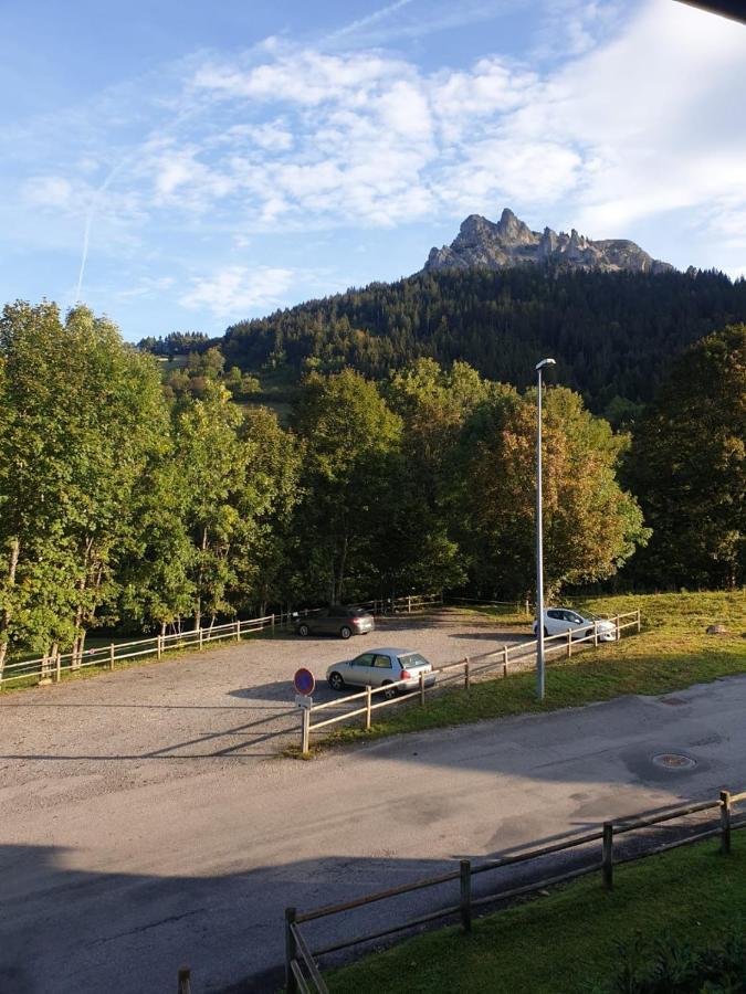 Le 67,Ski Et Randonnee,Lave Linge,Seche Linge,Parking Bernex Exteriör bild