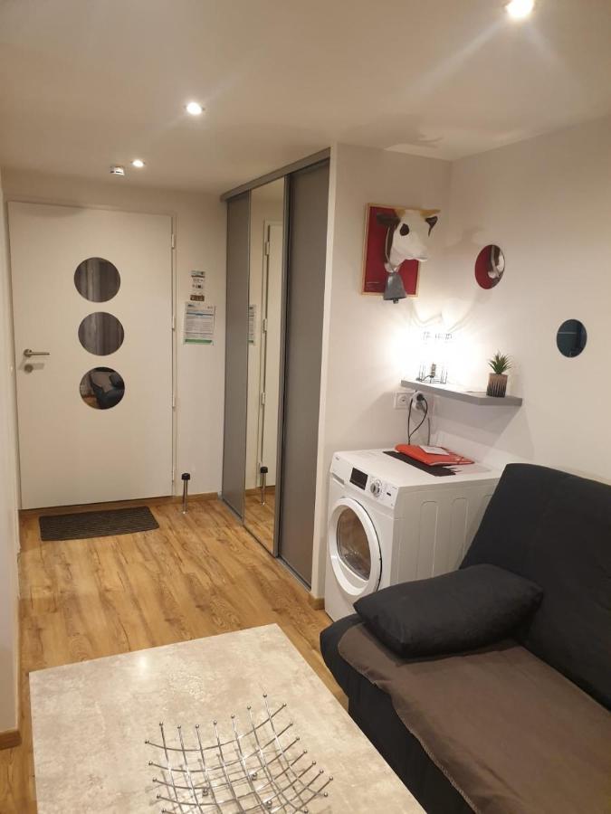 Le 67,Ski Et Randonnee,Lave Linge,Seche Linge,Parking Bernex Exteriör bild