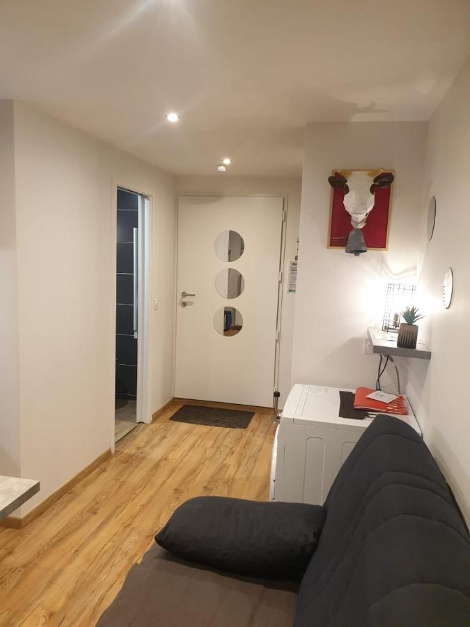 Le 67,Ski Et Randonnee,Lave Linge,Seche Linge,Parking Bernex Exteriör bild